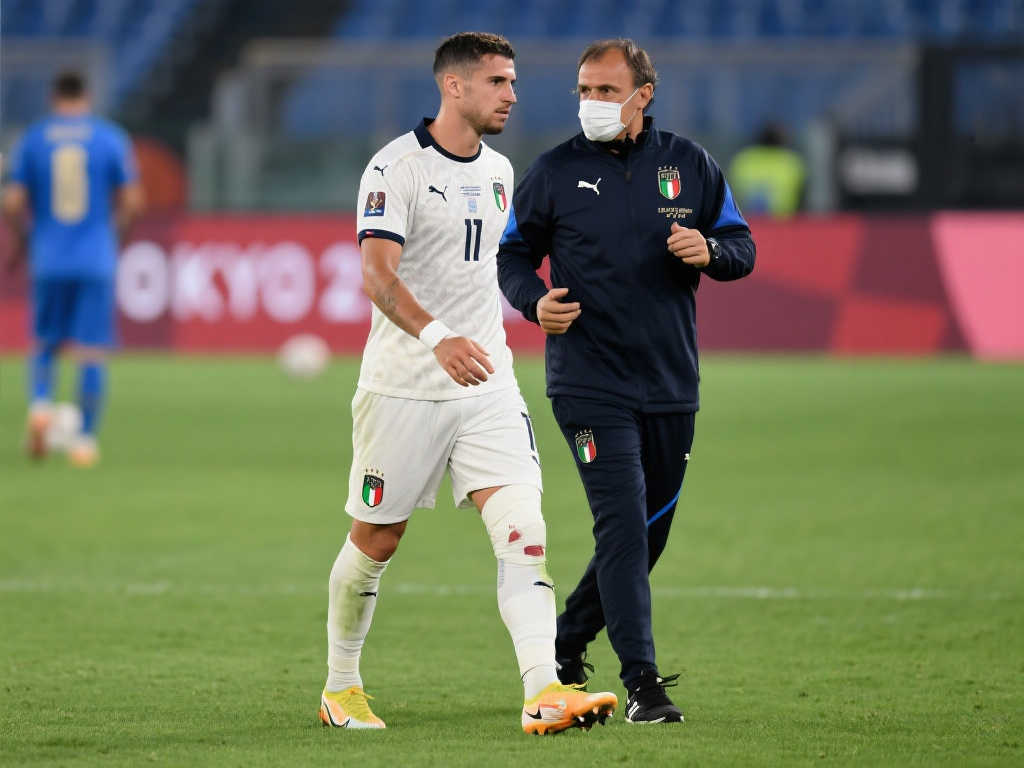 淡的态度实 淡的态度实